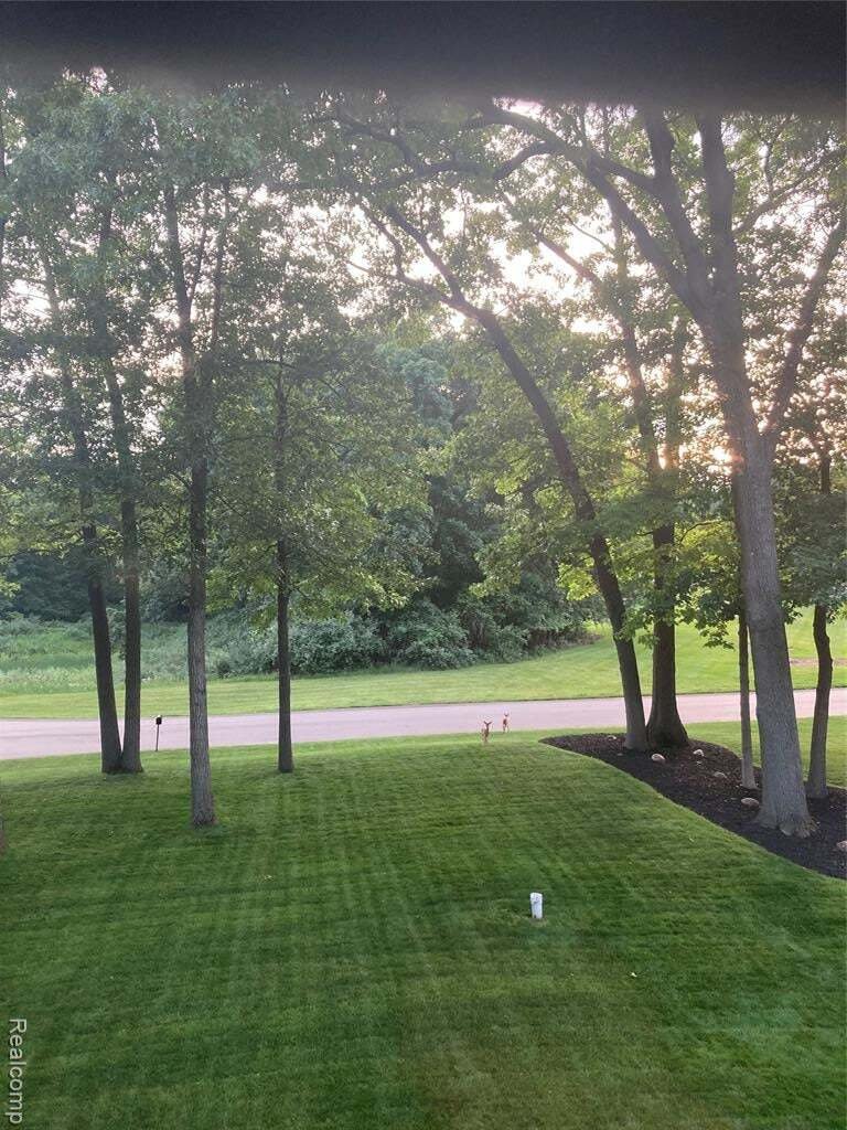 House in Fenton, Michigan, United States 2 - 18846485
