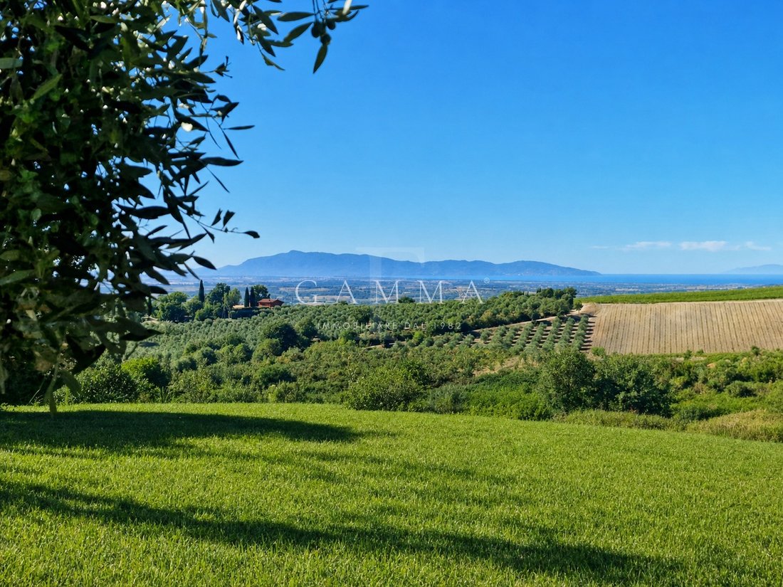 Landhaus in Magliano in Toscana, Toskana, Italien 3 - 18852568
