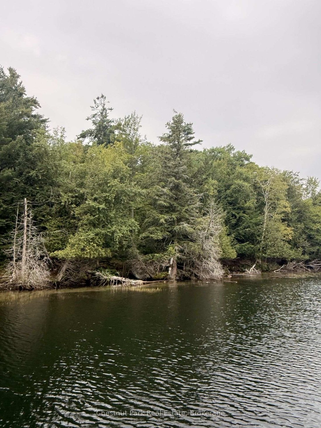 Terreno a Muskoka Lakes, Ontario, Canada 2 - 18855226