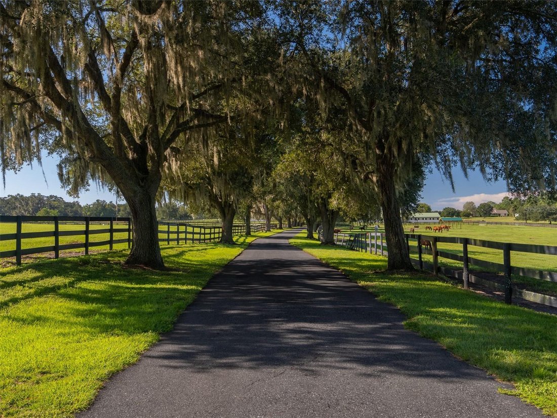 Corps de ferme à Ocala, Floride, États-Unis 4 - 18528323