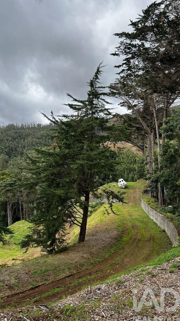 Rancho en São Gonçalo, Madeira, Portugal 4 - 18850878