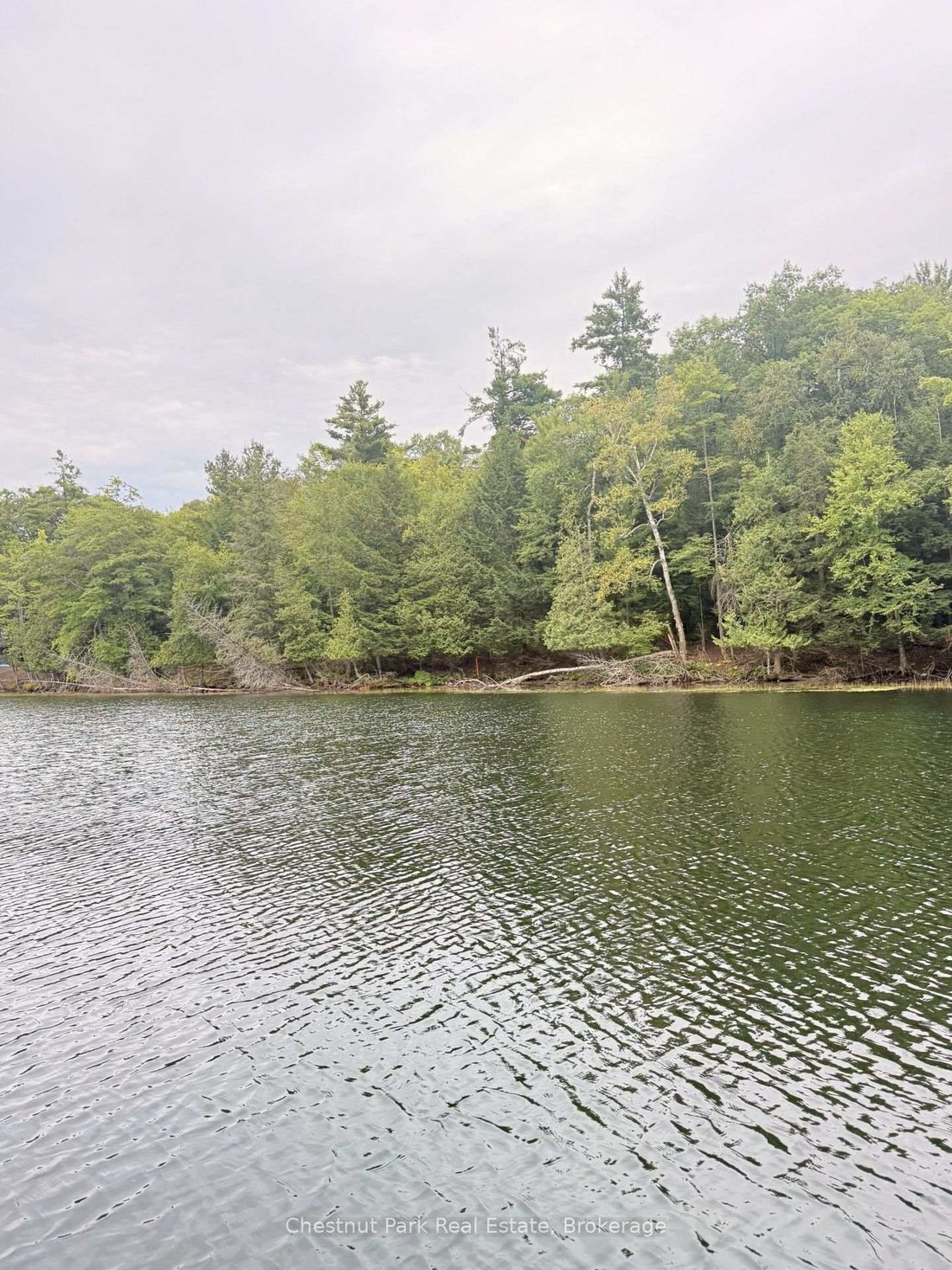 Terreno a Muskoka Lakes, Ontario, Canada 5 - 18855226