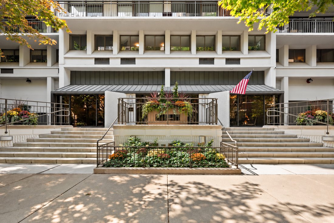Condo in Chicago, Illinois, United States 1 - 18850452