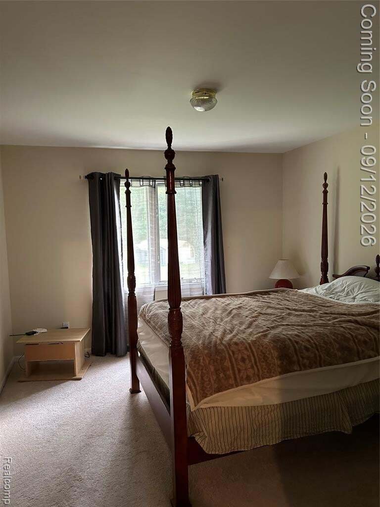 House in Woodhaven, Michigan, United States 4 - 18849750