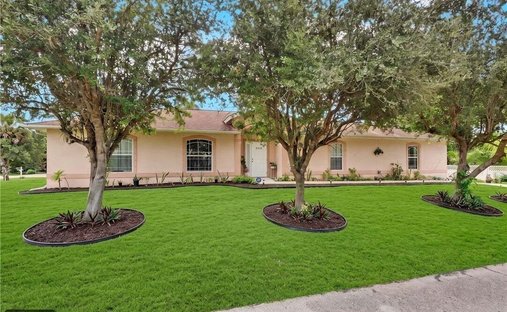 Maison à Naples, Floride, États-Unis 1