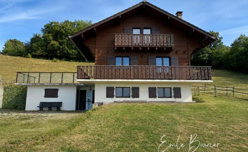 Haus in Saint-Paul-en-Chablais, Auvergne-Rhone-Alpen, Frankreich 1