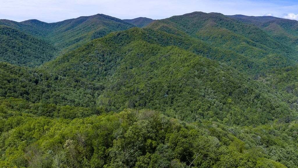 House in Robbinsville, North Carolina, United States 3 - 18851515