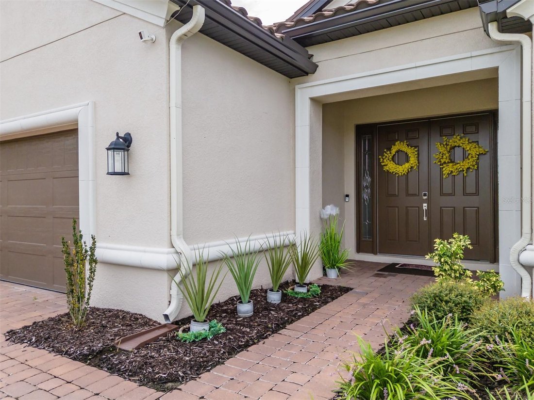 House in Zephyrhills, Florida, United States 3 - 18842209