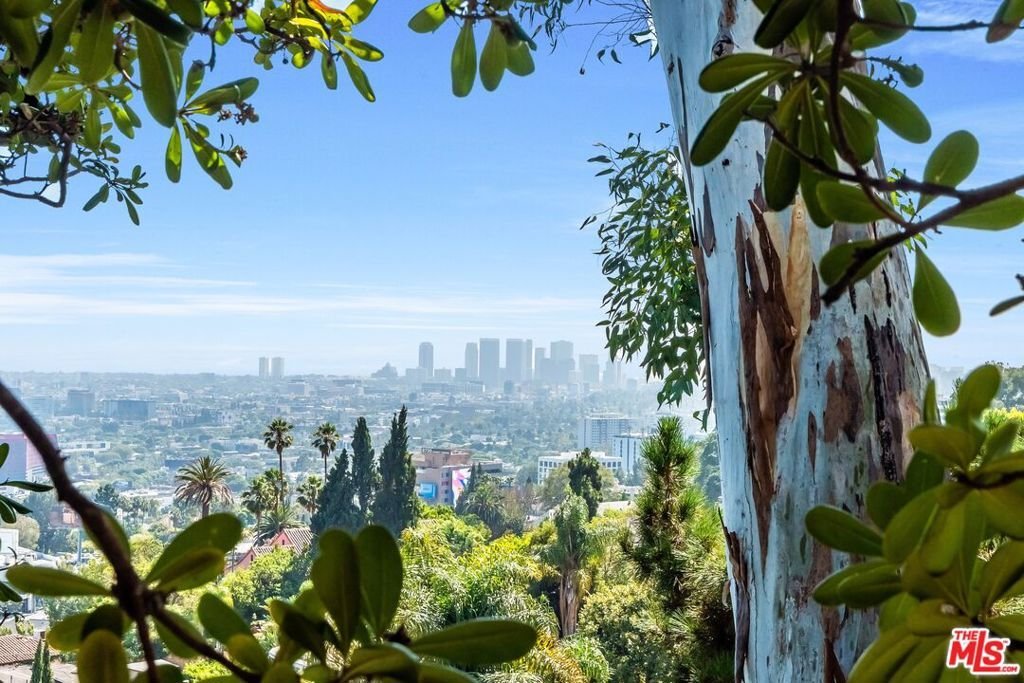House in Los Angeles, California, United States 5 - 18849534