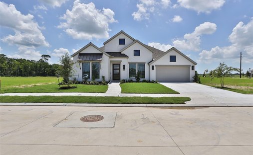 House in Mont Belvieu, Texas, United States 1