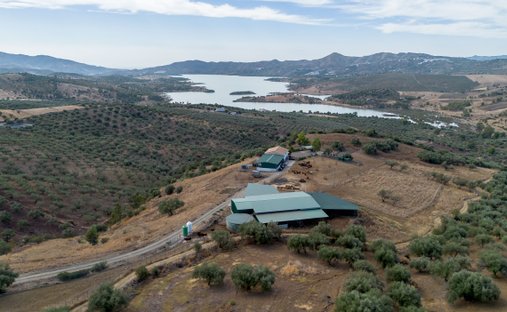 Land in Periana, Andalusien, Spanien 1