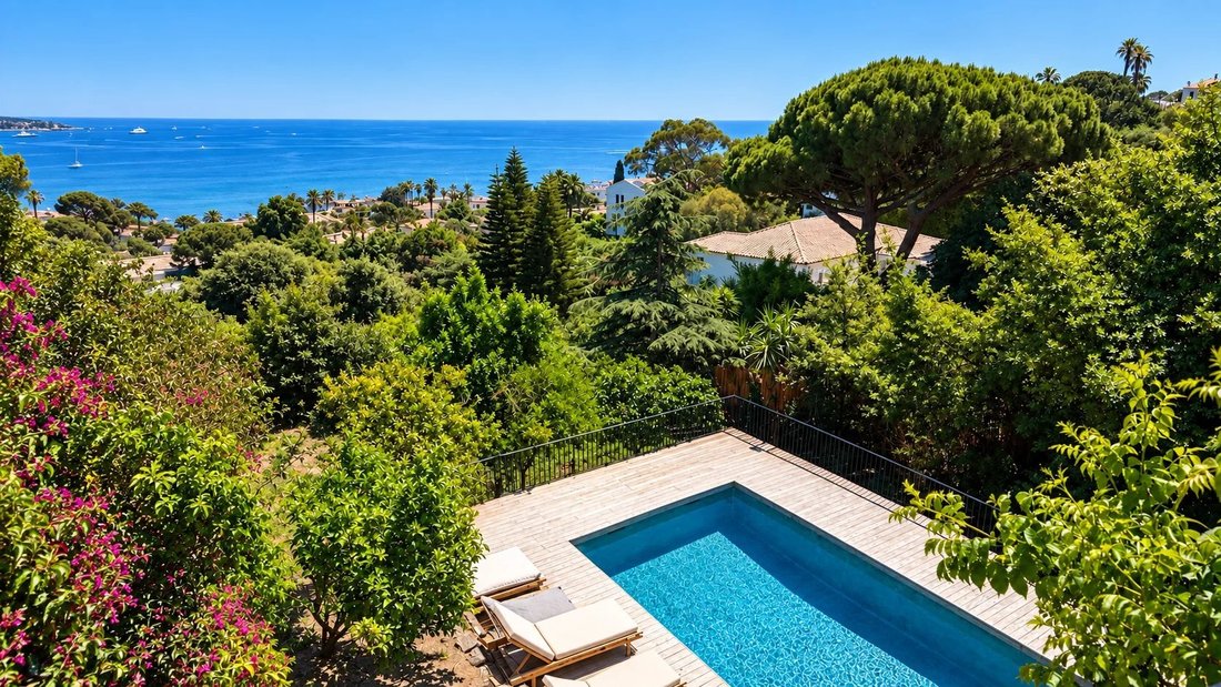 Haus in Cannes, Provence-Alpes-Côte d'Azur, Frankreich 1 - 18843875