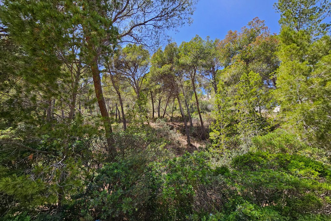 Land in Port d'Andratx, Andratx, Balearische Inseln 4 - 18846809