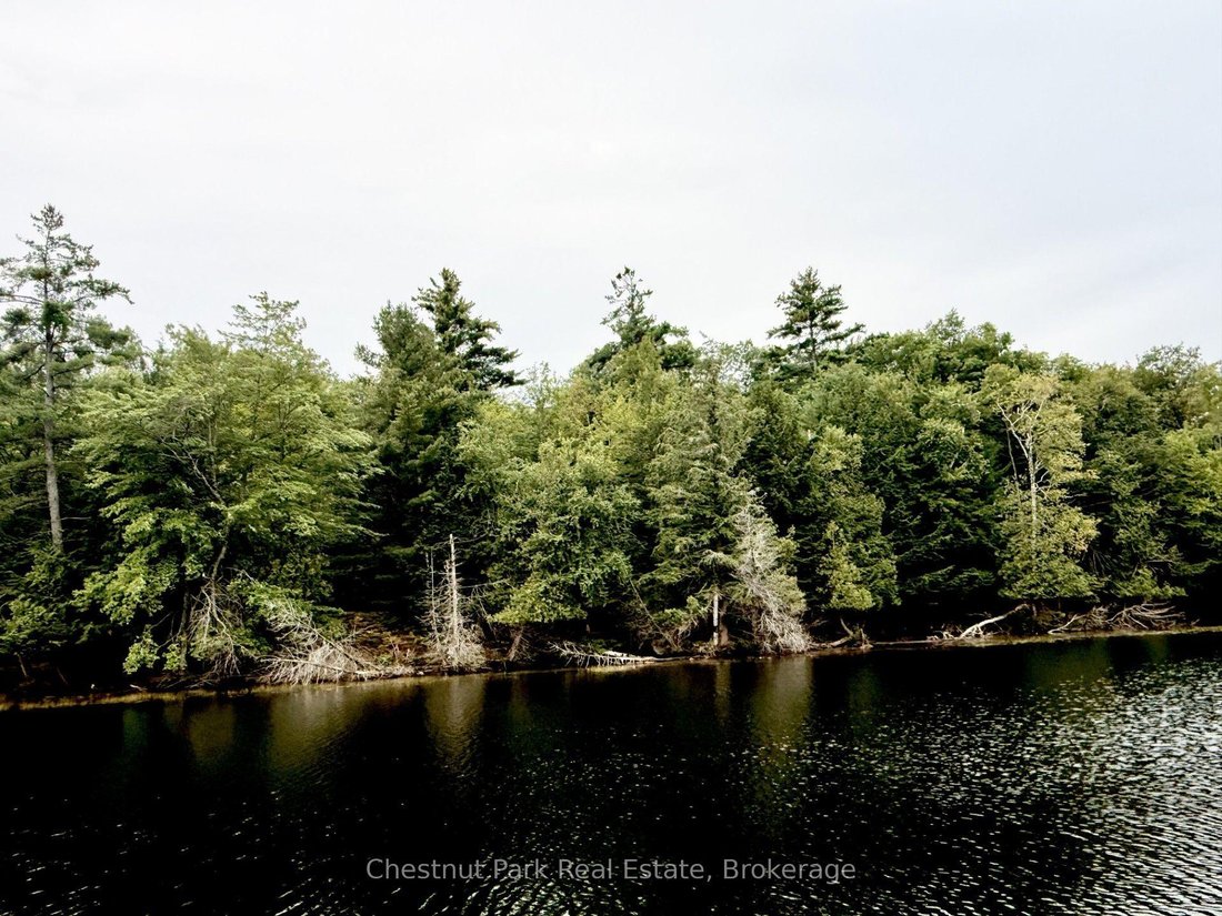 Terreno a Muskoka Lakes, Ontario, Canada 1 - 18855226