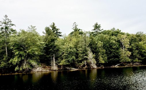 Terreno a Muskoka Lakes, Ontario, Canada 1