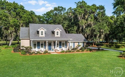House in Barbour Island, Georgia, United States 1