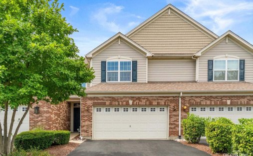 Condominio a Bolingbrook, Illinois, Stati Uniti 1