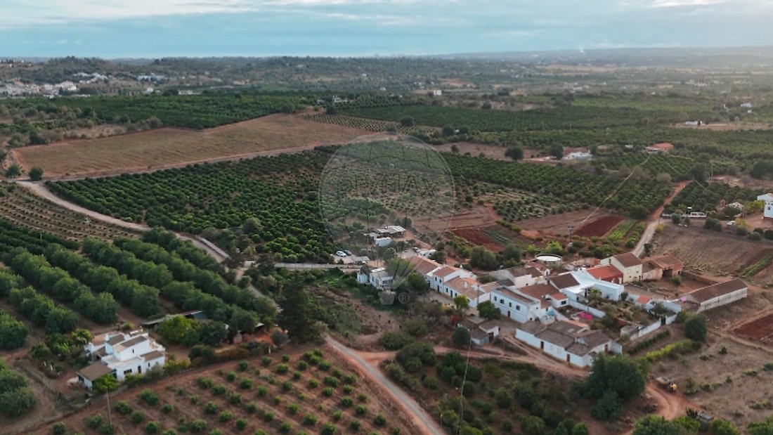 Azienda agricola a Algoz e Tunes, Algarve, Portogallo 1 - 18850349
