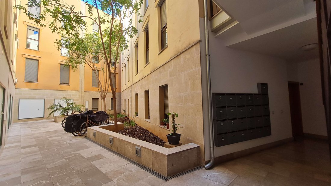 Apartment in Palma, Balearic Islands, Spain 1 - 18843419