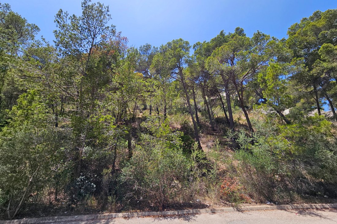 Land in Port d'Andratx, Andratx, Balearische Inseln 3 - 18846809