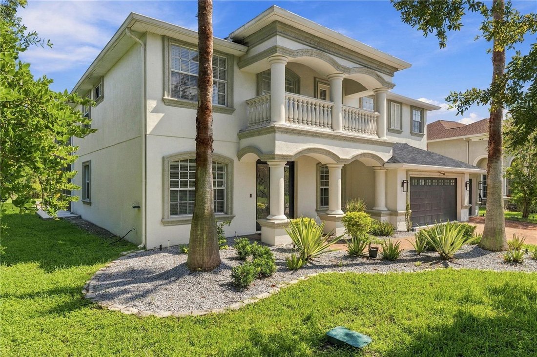 House in Wesley Chapel, Florida, United States 5 - 18846122