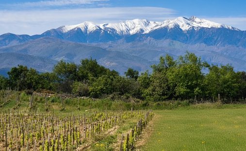 Terreno a Toulouges, Occitania, Francia 1