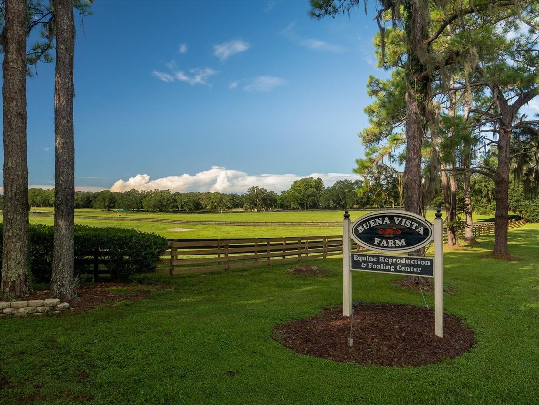 Corps de ferme à Ocala, Floride, États-Unis 2 - 18528323