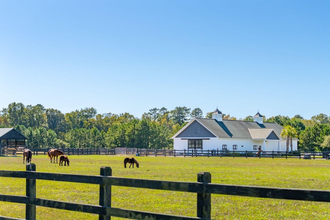 Casa en Ravenel, Carolina del Sur, Estados Unidos 5 - 18854122