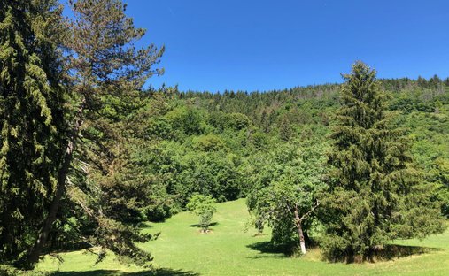 Castello a Montanges, Auvergne-Rodano-Alpi, Francia 1