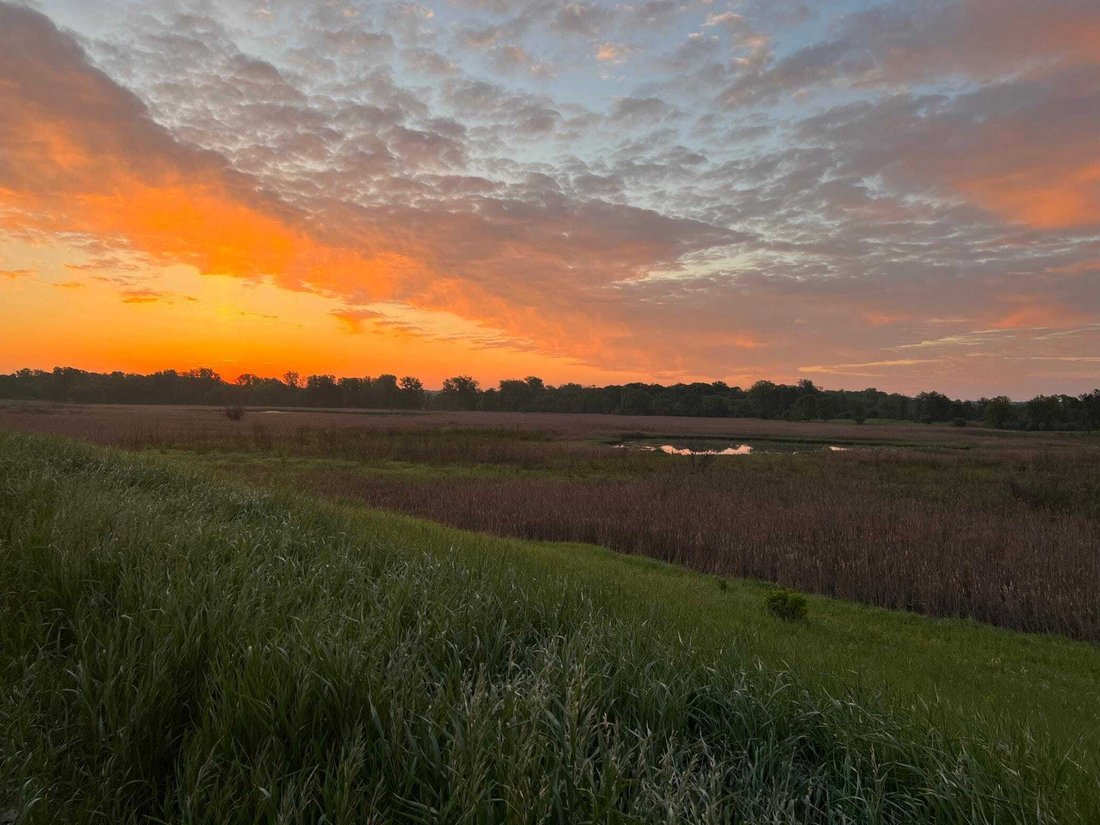 Land in Forest Lake, Minnesota, United States 1 - 18564668