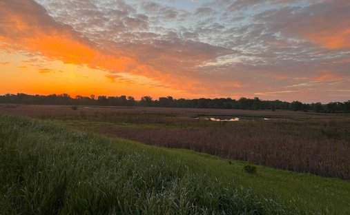 Land in Forest Lake, Minnesota, United States 1