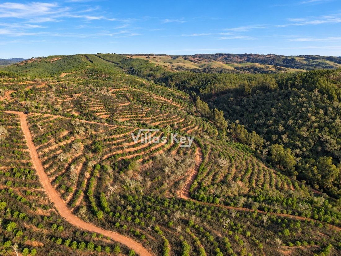 Land in Sao Salvador e Santa Maria, Beja District, Portugal 3 - 18852216