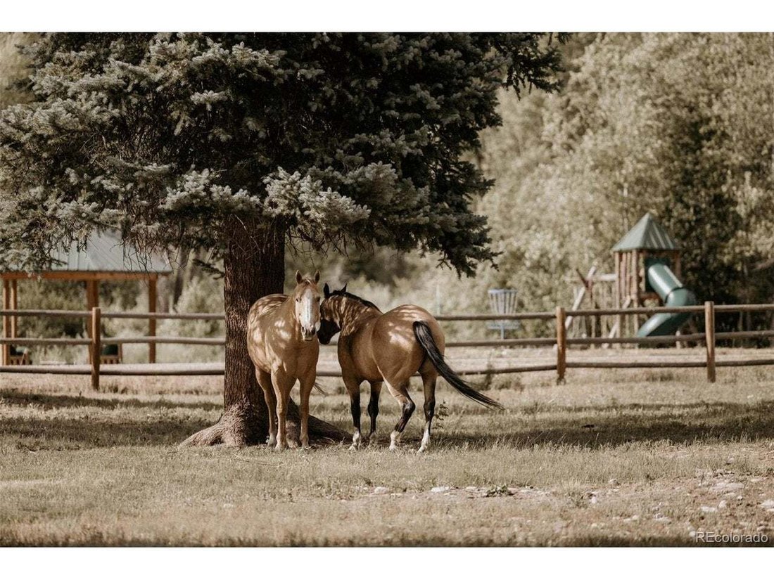 Corps de ferme à Somerset, Colorado, États-Unis 5 - 18852713