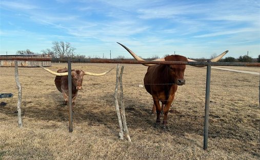 Haus in Anna, Texas, Vereinigte Staaten 1