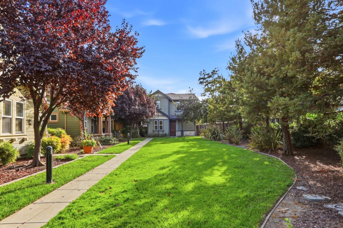House in San Jose, California, United States 2 - 18842020