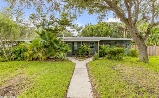 House in New Smyrna Beach, Florida, United States 1
