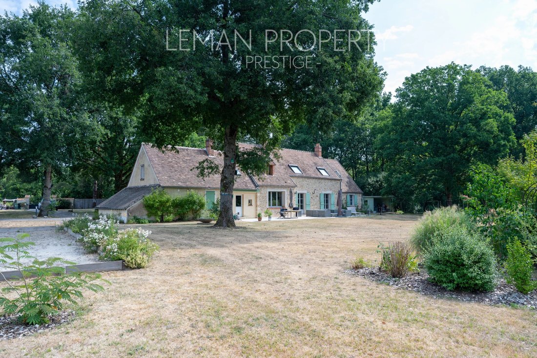 House in France 3 - 18844081