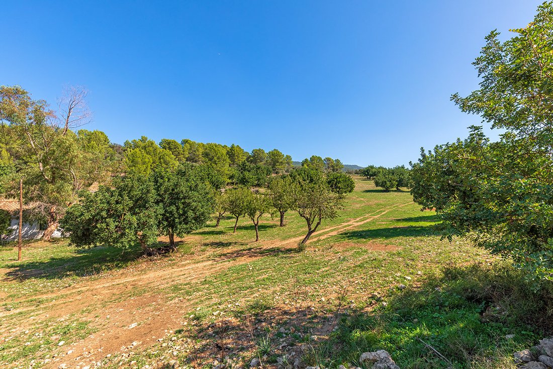 Terreno a Bunyola, Isole Baleari, Spagna 3 - 18846764