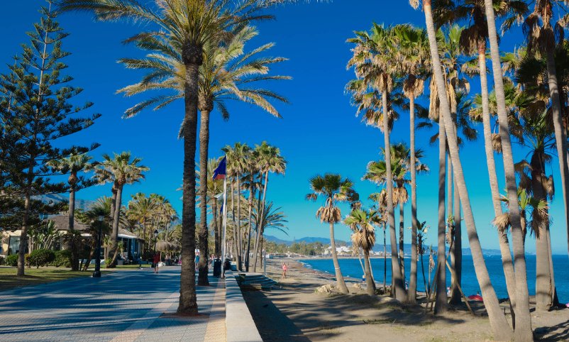 Apartment in Marbella, Andalusia, Spain 4 - 18855045