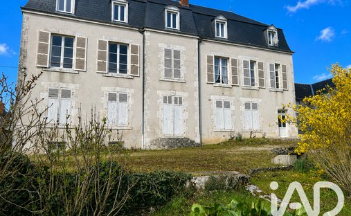 Haus in Tavers, Zentrum-Loiretal, Frankreich 1
