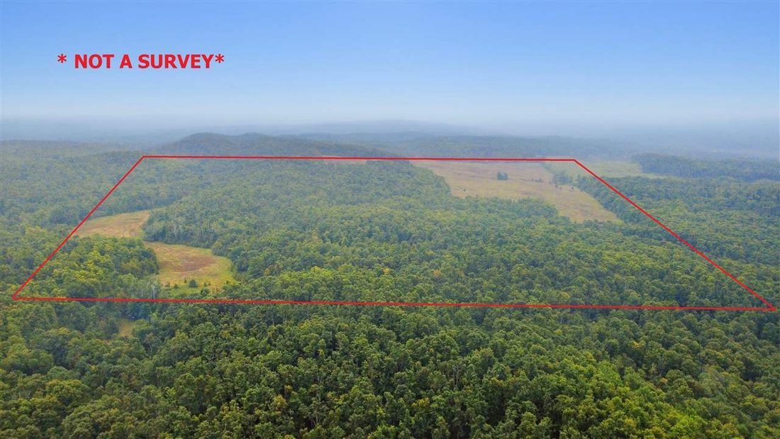 Land in Petoskey, Michigan, Vereinigte Staaten 5 - 18848923
