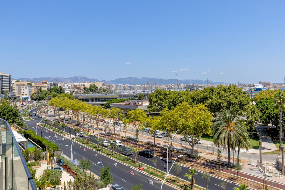 Wohnung in Palma, Balearische Inseln, Spanien 2 - 18848070