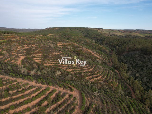 Land in Sao Salvador e Santa Maria, Beja District, Portugal 4 - 18852216