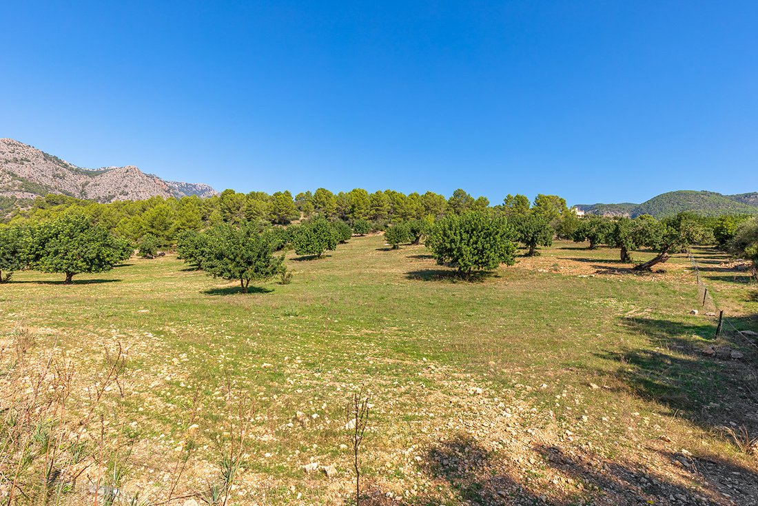 Terreno a Bunyola, Isole Baleari, Spagna 4 - 18846764