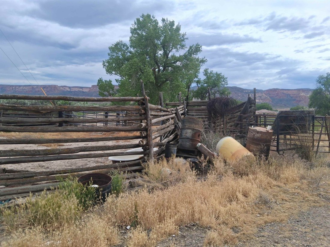 House in Fruita, Colorado, United States 4 - 18852561