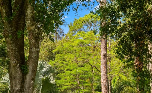 Land in Loxahatchee, Florida, United States 1