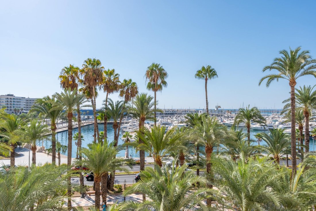 Apartment in Casco Antiguo - Santa Cruz - Ayuntamiento, Alicante, Valencian Community 4 - 18847080