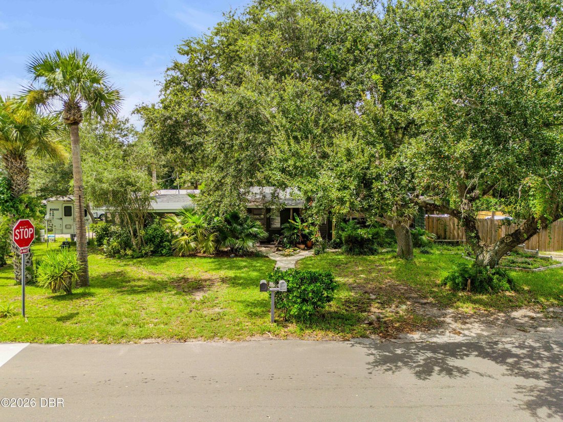 Casa en New Smyrna Beach, Florida, Estados Unidos 3 - 18855567