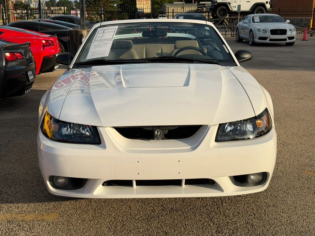 Cabriolet in Spring, TX, United States 2 - 18855190