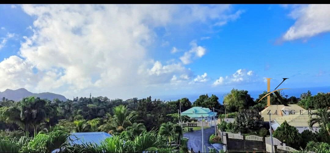 Villa in Saint-Claude, Basse-Terre, Guadeloupe 3 - 15991518